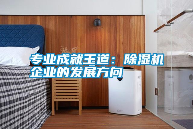 專業成就王道：除濕機企業的發展方向