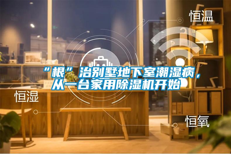 “根”治別墅地下室潮濕病，從一臺家用除濕機開始