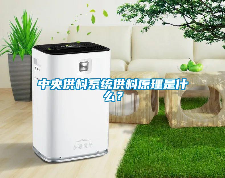 中央供料系統(tǒng)供料原理是什么？