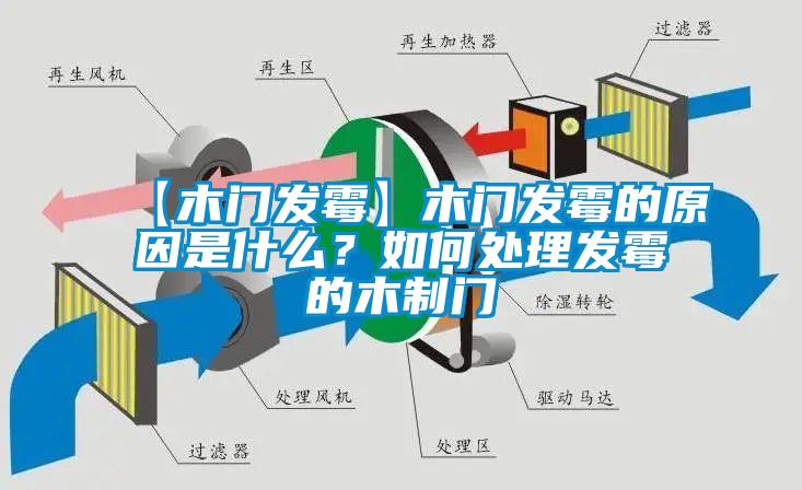 【木門發霉】木門發霉的原因是什么？如何處理發霉的木制門