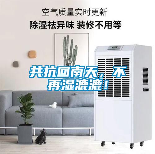 共抗回南天，不再濕漉漉！