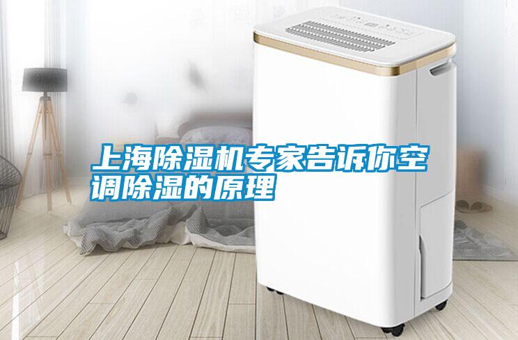 上海除濕機專家告訴你空調除濕的原理