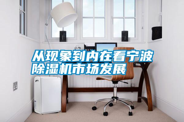 從現(xiàn)象到內(nèi)在看寧波除濕機(jī)市場發(fā)展