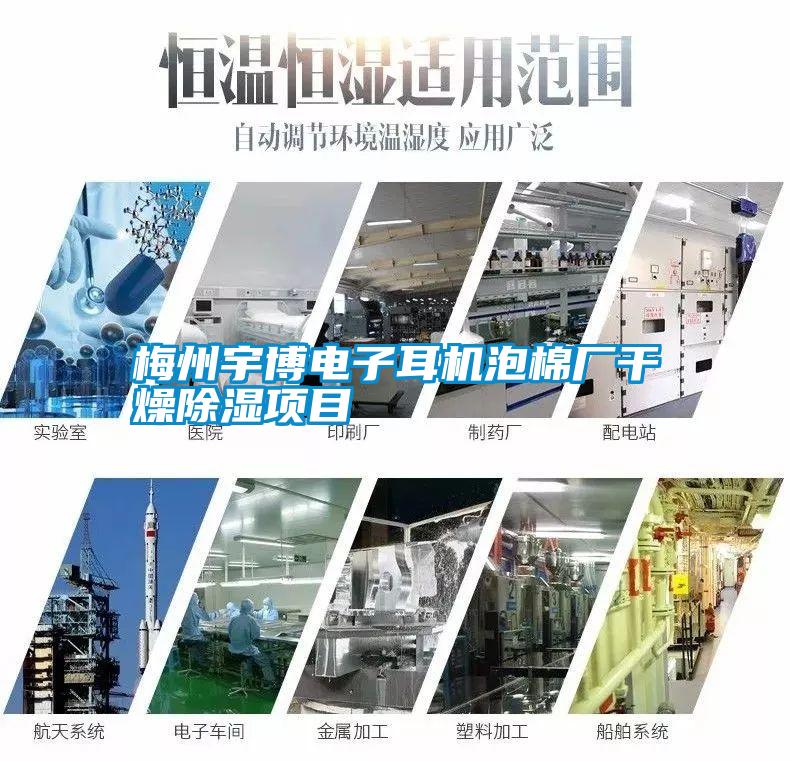 梅州宇博電子耳機泡棉廠干燥除濕項目