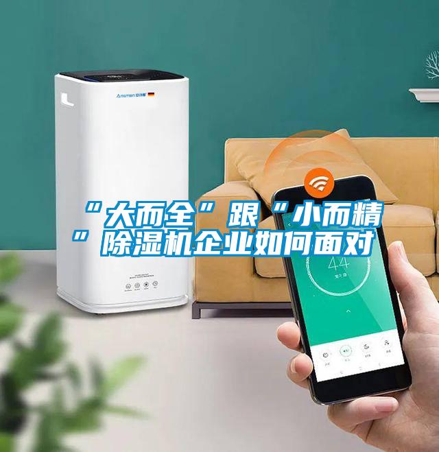 “大而全”跟“小而精”除濕機企業如何面對