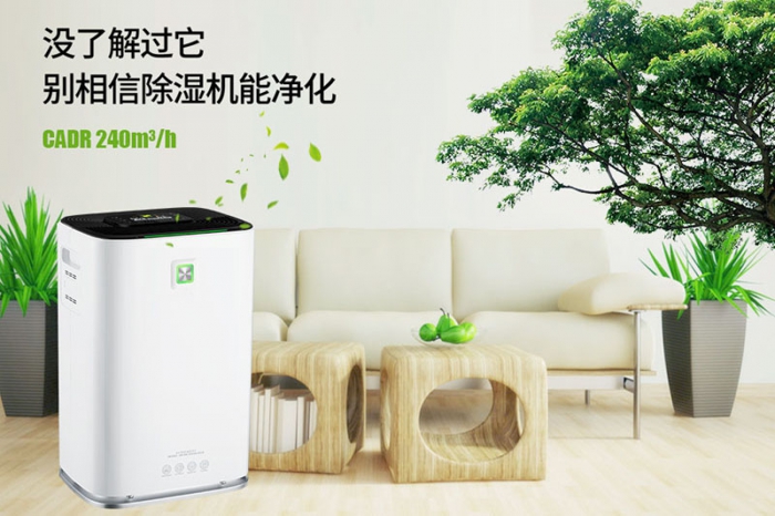 一到回南天狗狗就感冒+皮膚病，怎么辦？