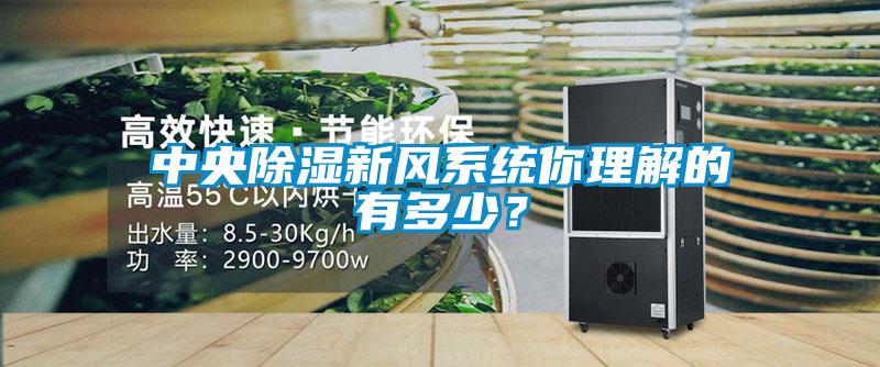中央除濕新風(fēng)系統(tǒng)你理解的有多少？
