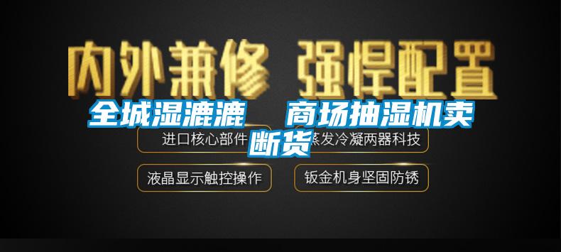 全城濕漉漉  商場抽濕機(jī)賣斷貨