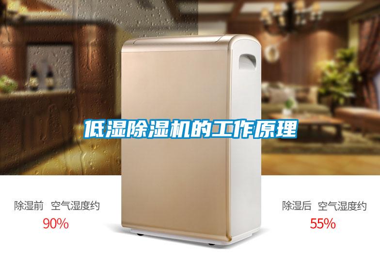 低濕除濕機(jī)的工作原理