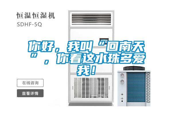 你好，我叫“回南天”，你看這水珠多愛我！