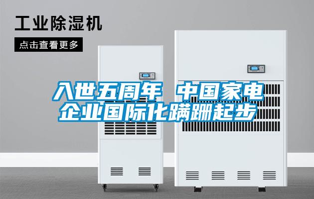 入世五周年 中國家電企業國際化蹣跚起步
