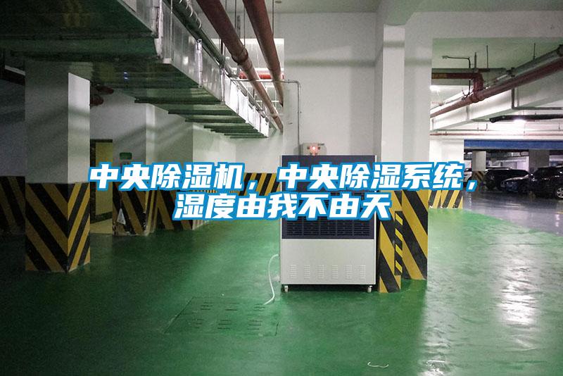 中央除濕機(jī)，中央除濕系統(tǒng)，濕度由我不由天