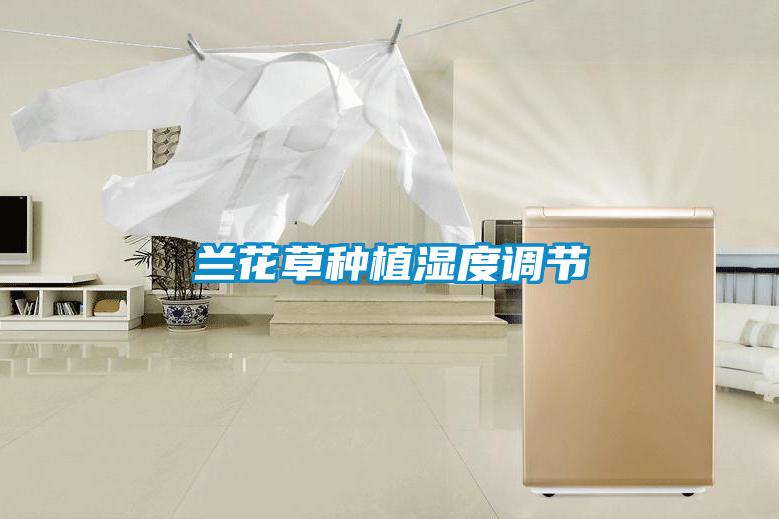 蘭花草種植濕度調(diào)節(jié)