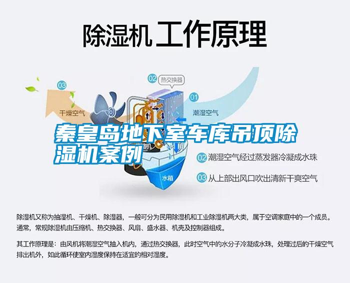 秦皇島地下室車庫吊頂除濕機案例