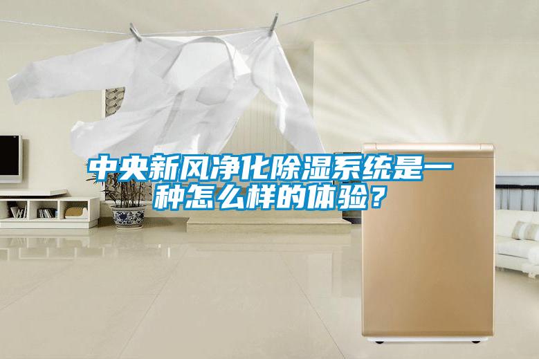 中央新風(fēng)凈化除濕系統(tǒng)是一種怎么樣的體驗(yàn)？