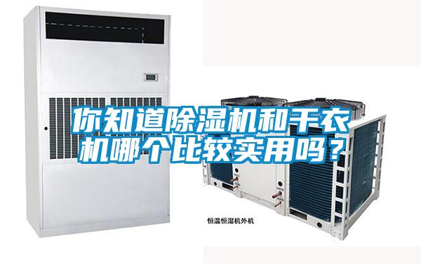 你知道除濕機(jī)和干衣機(jī)哪個比較實用嗎？