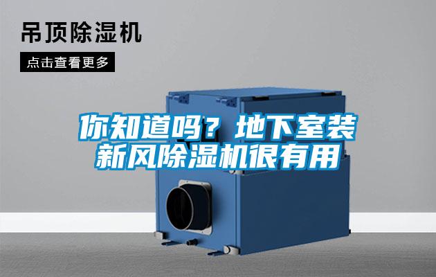你知道嗎？地下室裝新風除濕機很有用