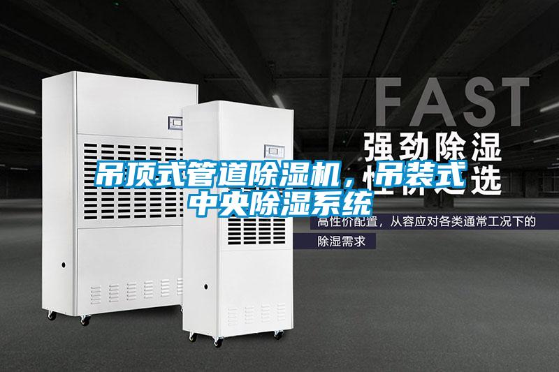 吊頂式管道除濕機,吊裝式中央除濕系統(tǒng)