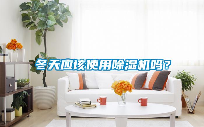 冬天應該使用除濕機嗎？
