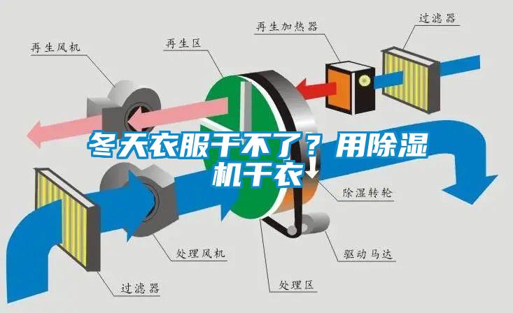 冬天衣服干不了？用除濕機干衣