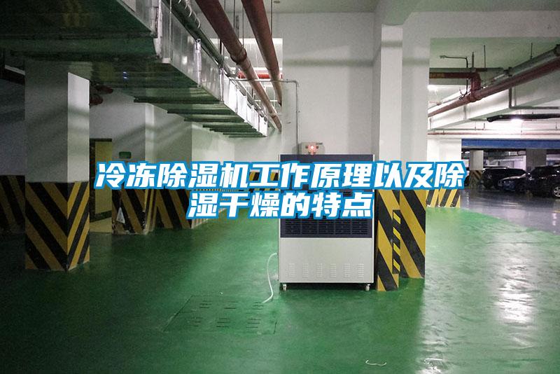 冷凍除濕機工作原理以及除濕干燥的特點