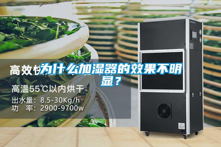 為什么加濕器的效果不明顯？