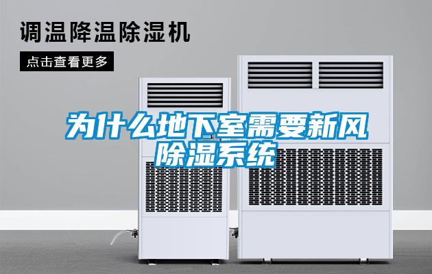 為什么地下室需要新風除濕系統(tǒng)