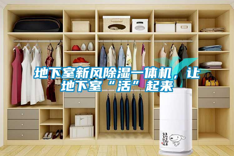 地下室新風除濕一體機，讓地下室“活”起來
