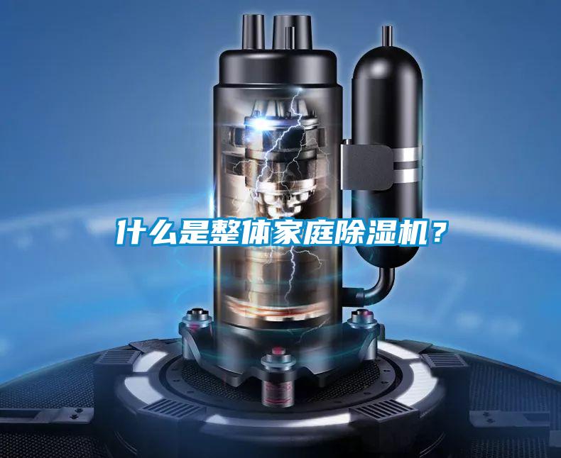 什么是整體家庭除濕機？
