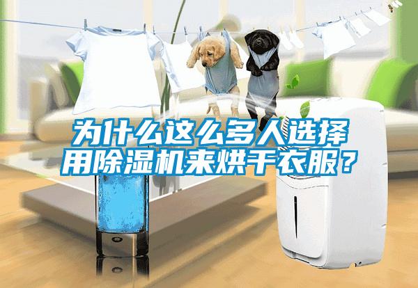 為什么這么多人選擇用除濕機來烘干衣服？