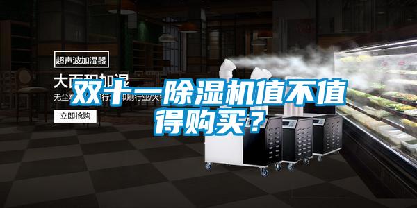 雙十一除濕機值不值得購買？