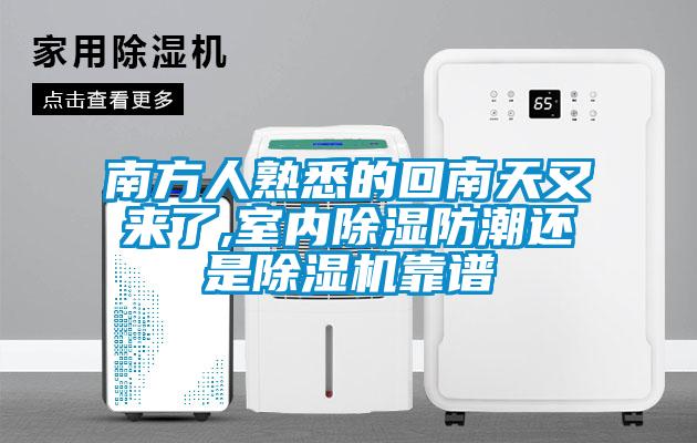 南方人熟悉的回南天又來了,室內除濕防潮還是除濕機靠譜