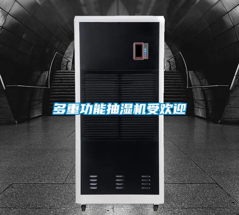 多重功能抽濕機(jī)受歡迎