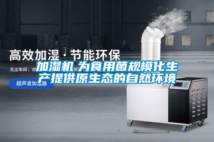 加濕機　為食用菌規模化生產提供原生態的自然環境