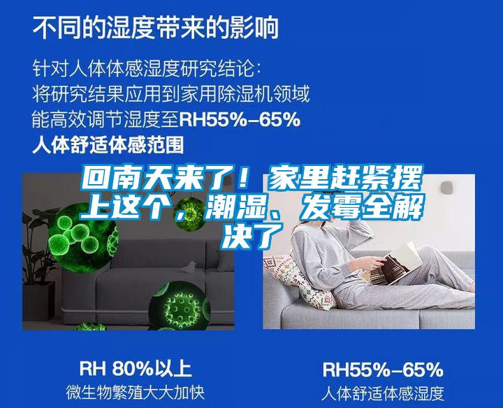 回南天來了！家里趕緊擺上這個，潮濕、發霉全解決了