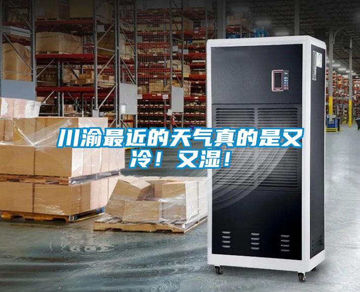 川渝最近的天氣真的是又冷！又濕！