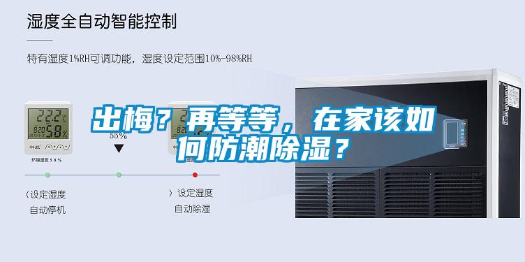 出梅？再等等，在家該如何防潮除濕？