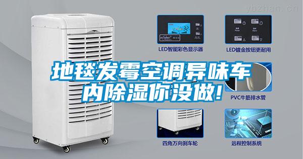 地毯發霉空調異味車內除濕你沒做!