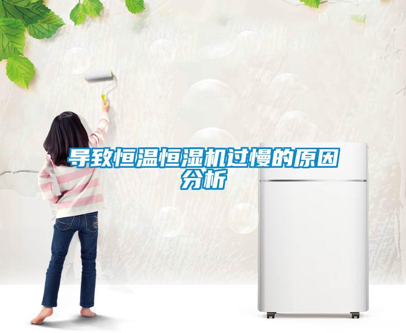 導致恒溫恒濕機過慢的原因分析
