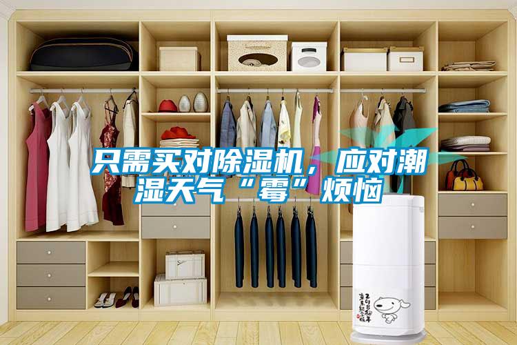 只需買對除濕機，應對潮濕天氣“霉”煩惱