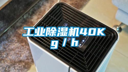 工業除濕機40Kg／h