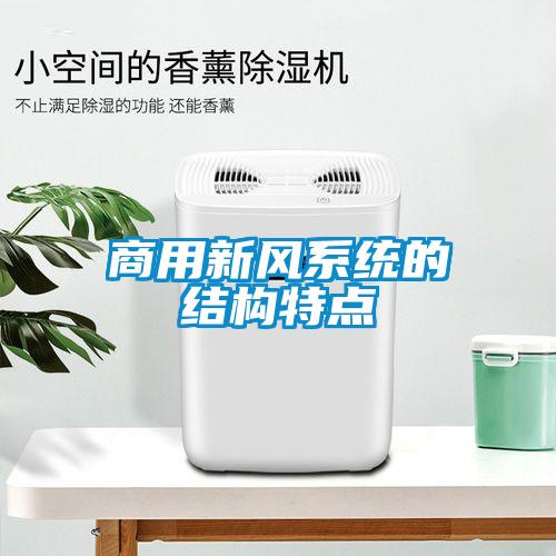 商用新風系統的結構特點