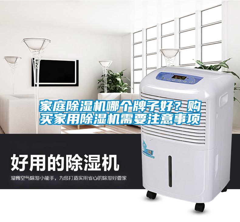 家庭除濕機哪個牌子好？購買家用除濕機需要注意事項