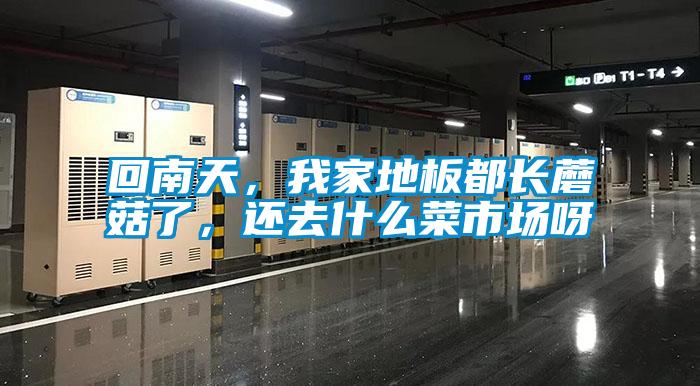 回南天，我家地板都長(zhǎng)蘑菇了，還去什么菜市場(chǎng)呀