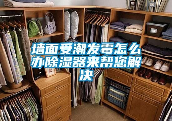 墻面受潮發霉怎么辦除濕器來幫您解決
