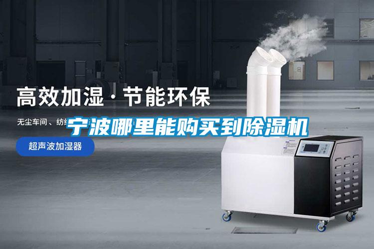 寧波哪里能購買到除濕機