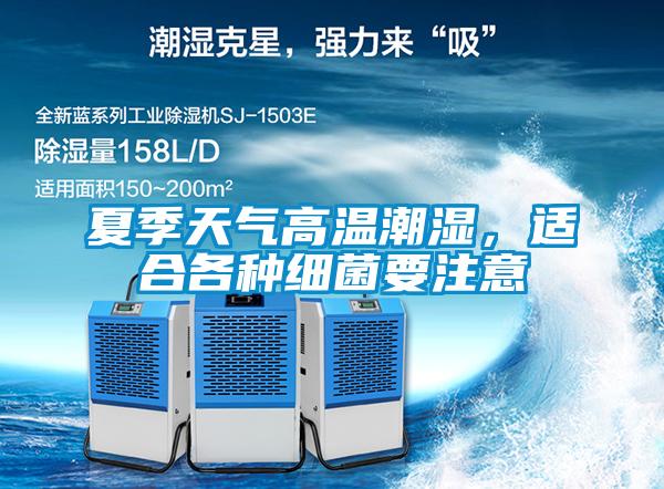 夏季天氣高溫潮濕，適合各種細菌要注意