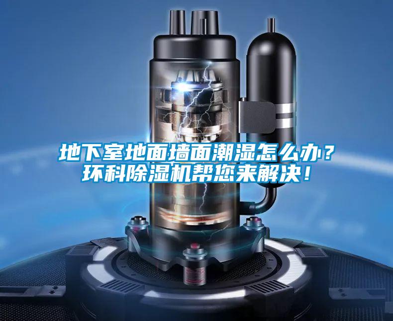 地下室地面墻面潮濕怎么辦？環科除濕機幫您來解決！