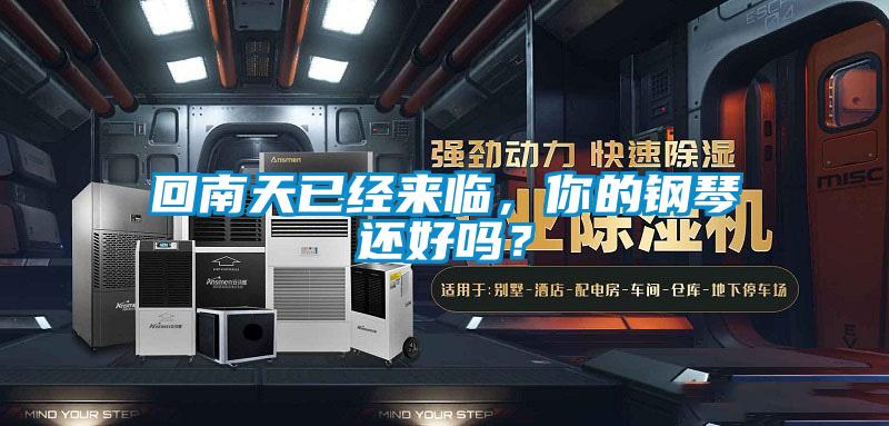 回南天已經來臨，你的鋼琴還好嗎？