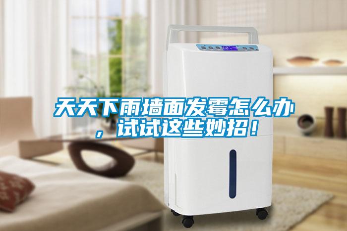 天天下雨墻面發霉怎么辦，試試這些妙招！